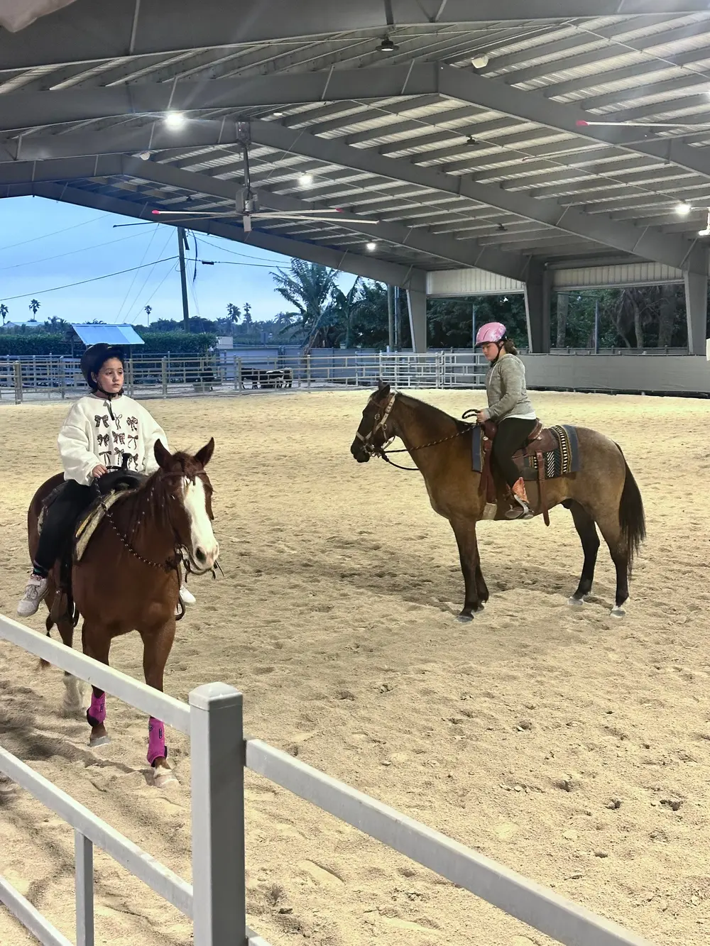 Semi-Private Horseback riding Lesson — photo 3 from Horse Life Miami