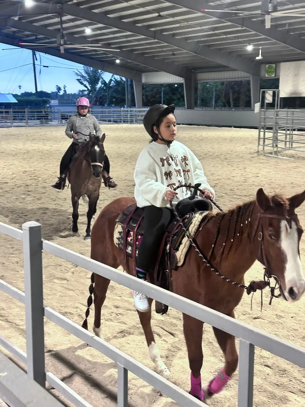 Private Horseback riding Lesson — photo 2 from Horse Life Miami