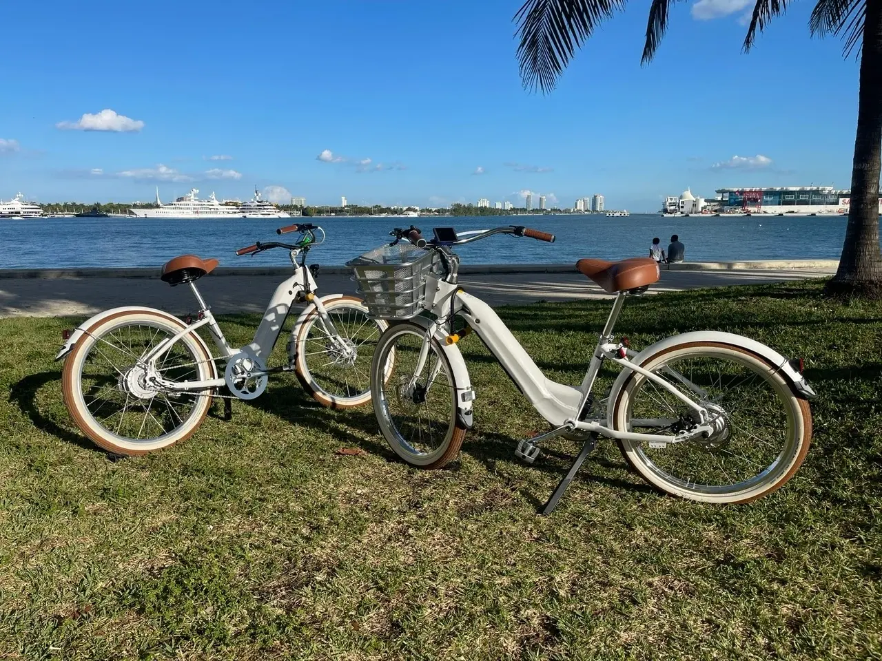 Electric Bike Rental Miami Beach — photo 4 from Miami Beach Bike Rental & Segway tours
