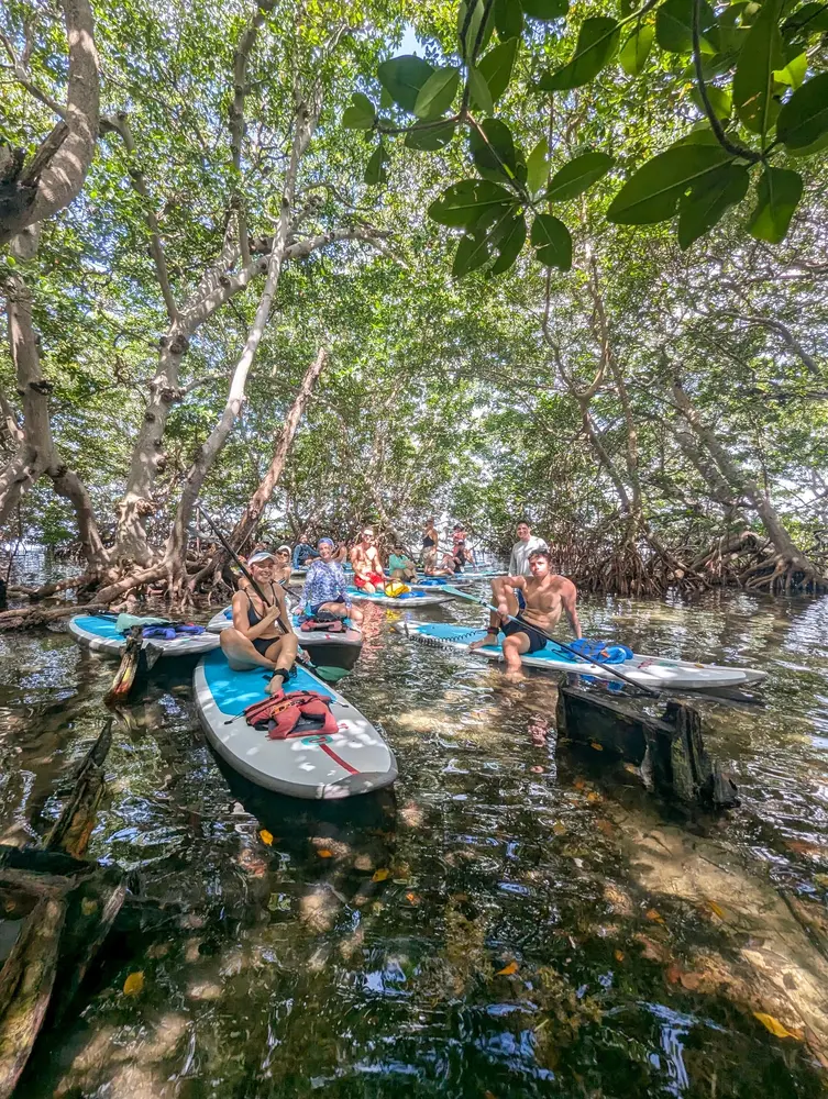 Biscayne Bay Island and Miami Skyline Paddle Tour — photo 3 from PADL - VK Beach Club
