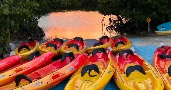 Oleta Adventures Full Moon Kayak Experience — photo 2 from Oleta River Adventures