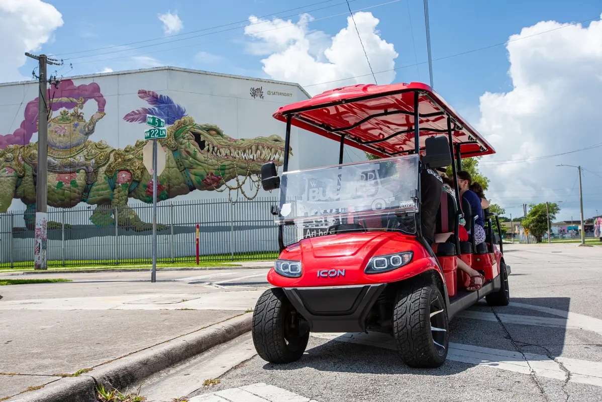 Wynwood Buggies Tour — photo 1 from Wynwood Buggies