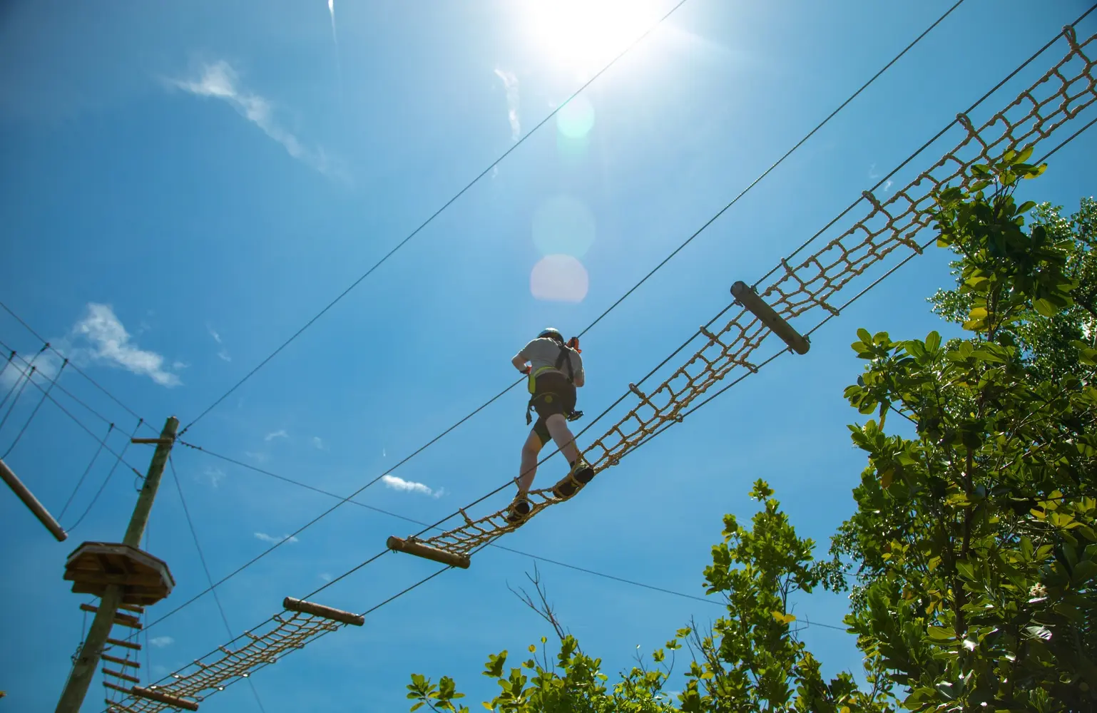 Thrill-Seeker Trek — photo 3 from Treetop Trekking Miami