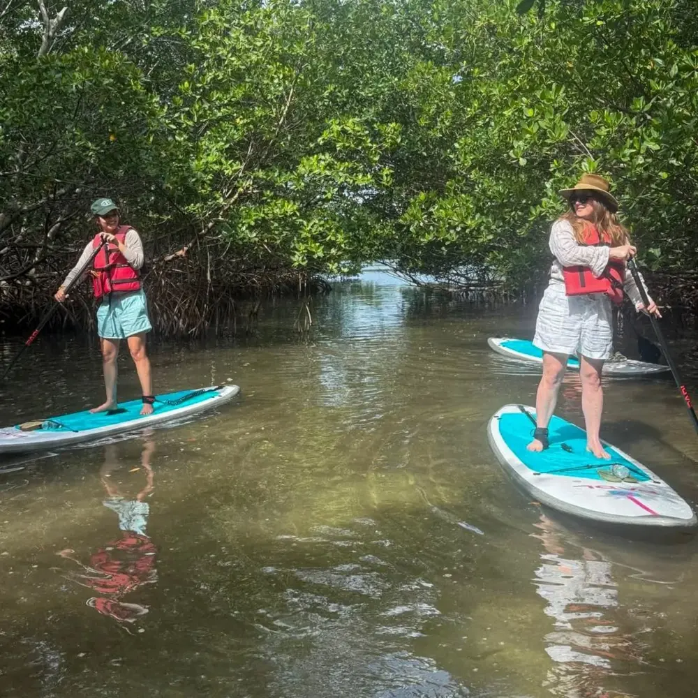Biscayne Bay Island and Miami Skyline Paddle Tour — photo 2 from PADL - VK Beach Club