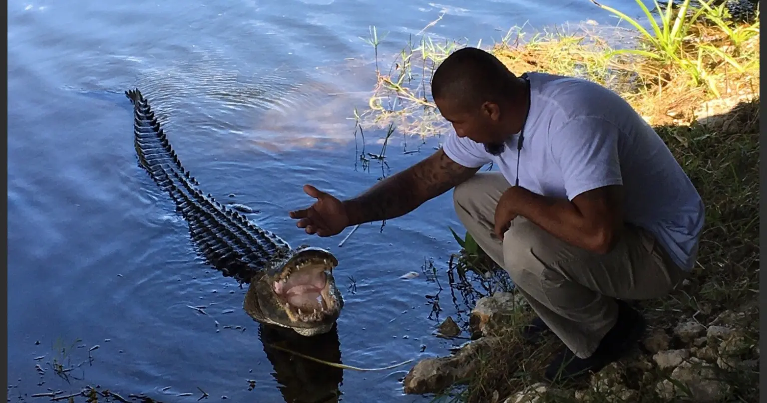 Everglades Airboat Adventure + FREE 2 HOURS with Rentals. — photo 1 from Miami Beach Bike Rental & Segway tours