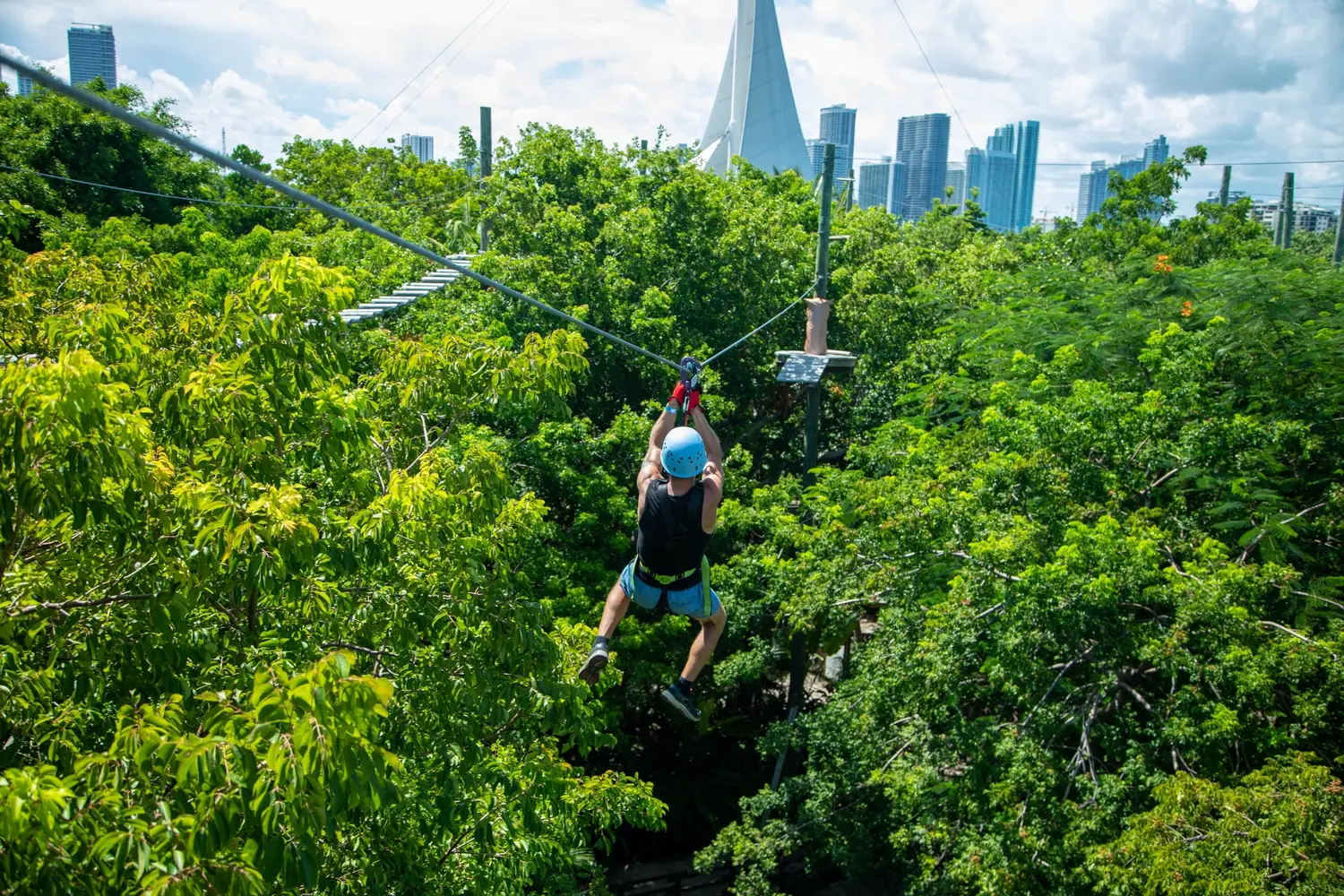 Thrill-Seeker Trek — photo 1 from Treetop Trekking Miami