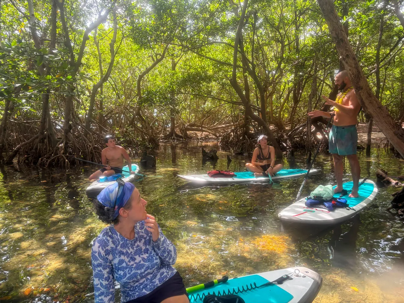 Biscayne Bay Island and Miami Skyline Paddle Tour — photo 5 from PADL - VK Beach Club