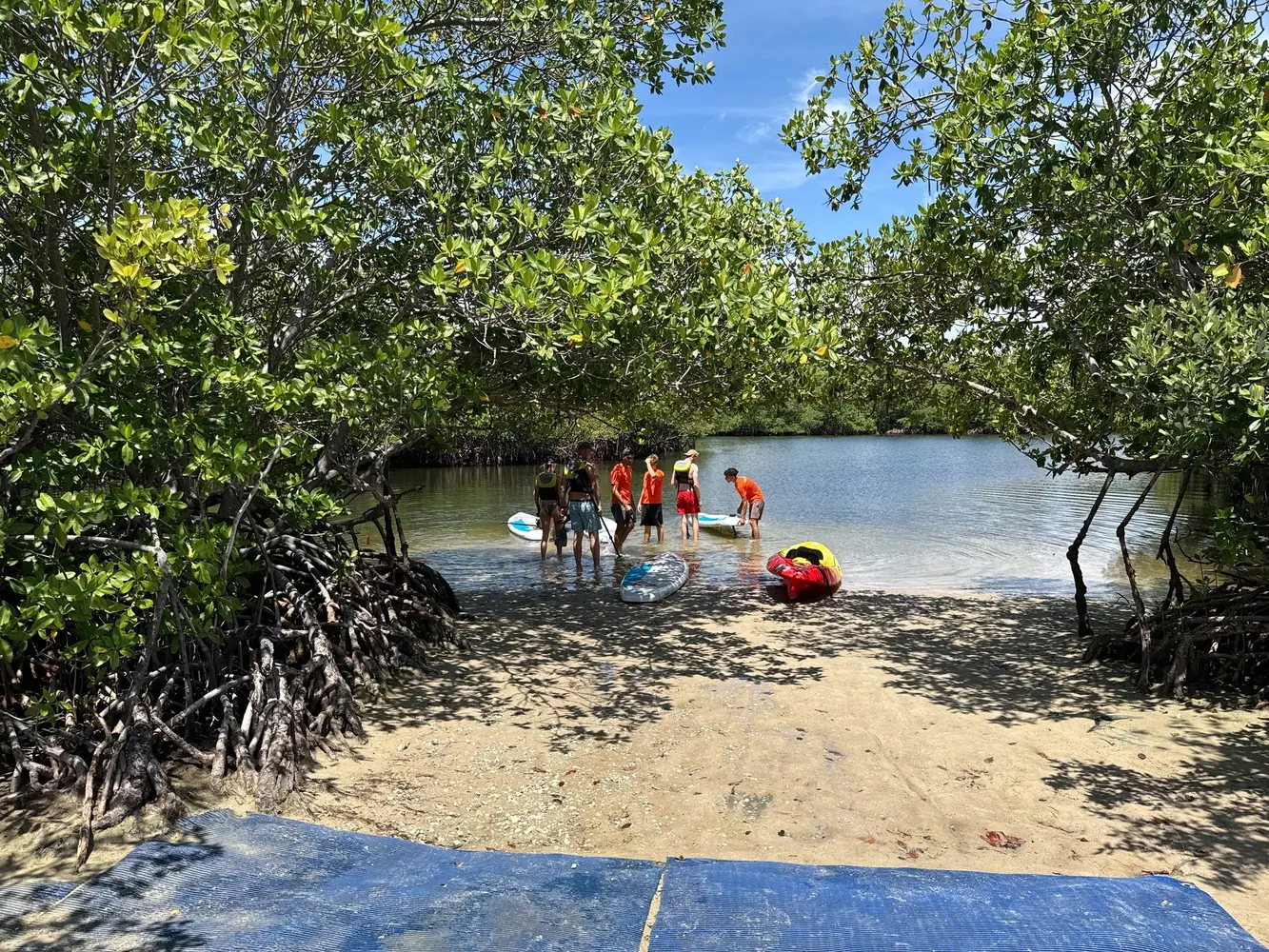Guided Eco Tour Paddle — photo 5 from Oleta River Adventures