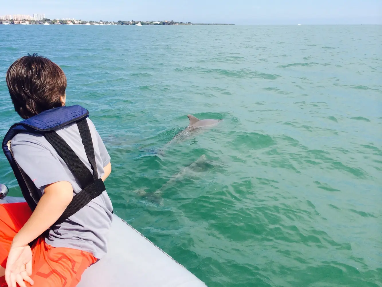 Private - Biscayne Bay ULTIMATE Experience + Stiltsville — photo 2 from Ocean Force Adventures