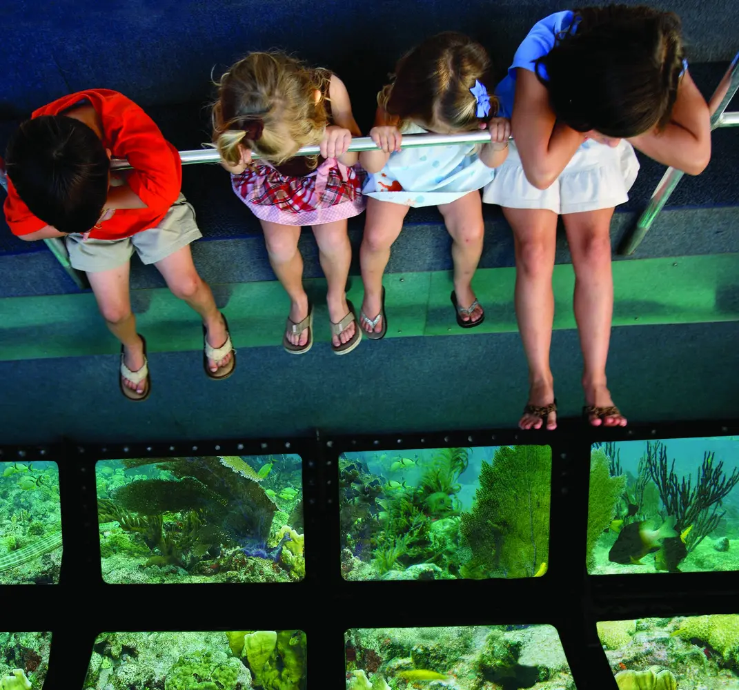 from Miami: Key West Tour & Glass Bottom Boat — photo 2 from US2U