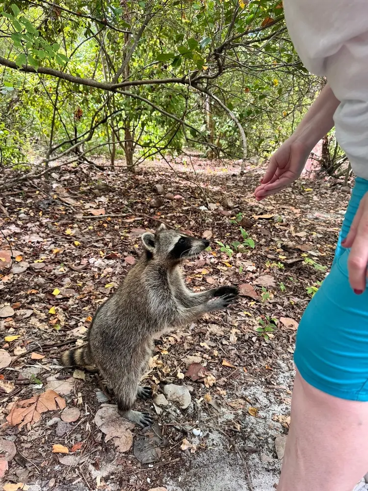 Shared Raccoon Island Trip — photo 1 from Ocean Force Adventures