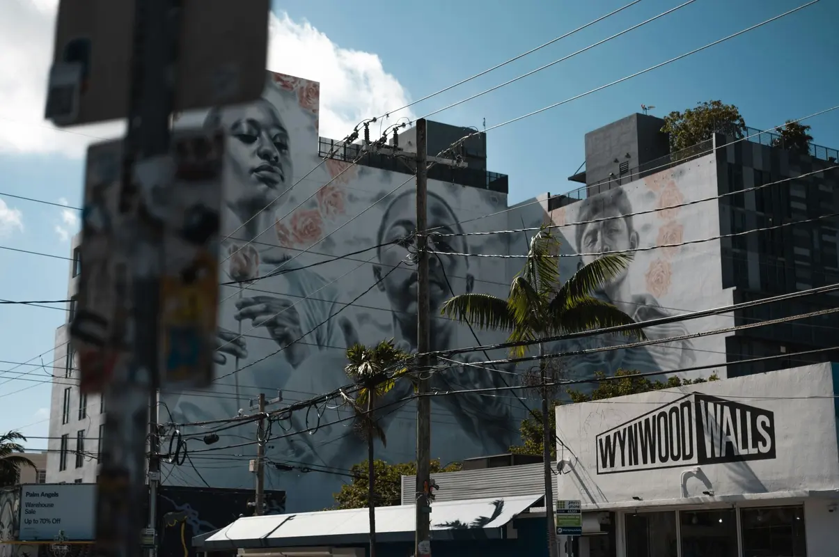 Wynwood Buggies Tour — photo 2 from Wynwood Buggies