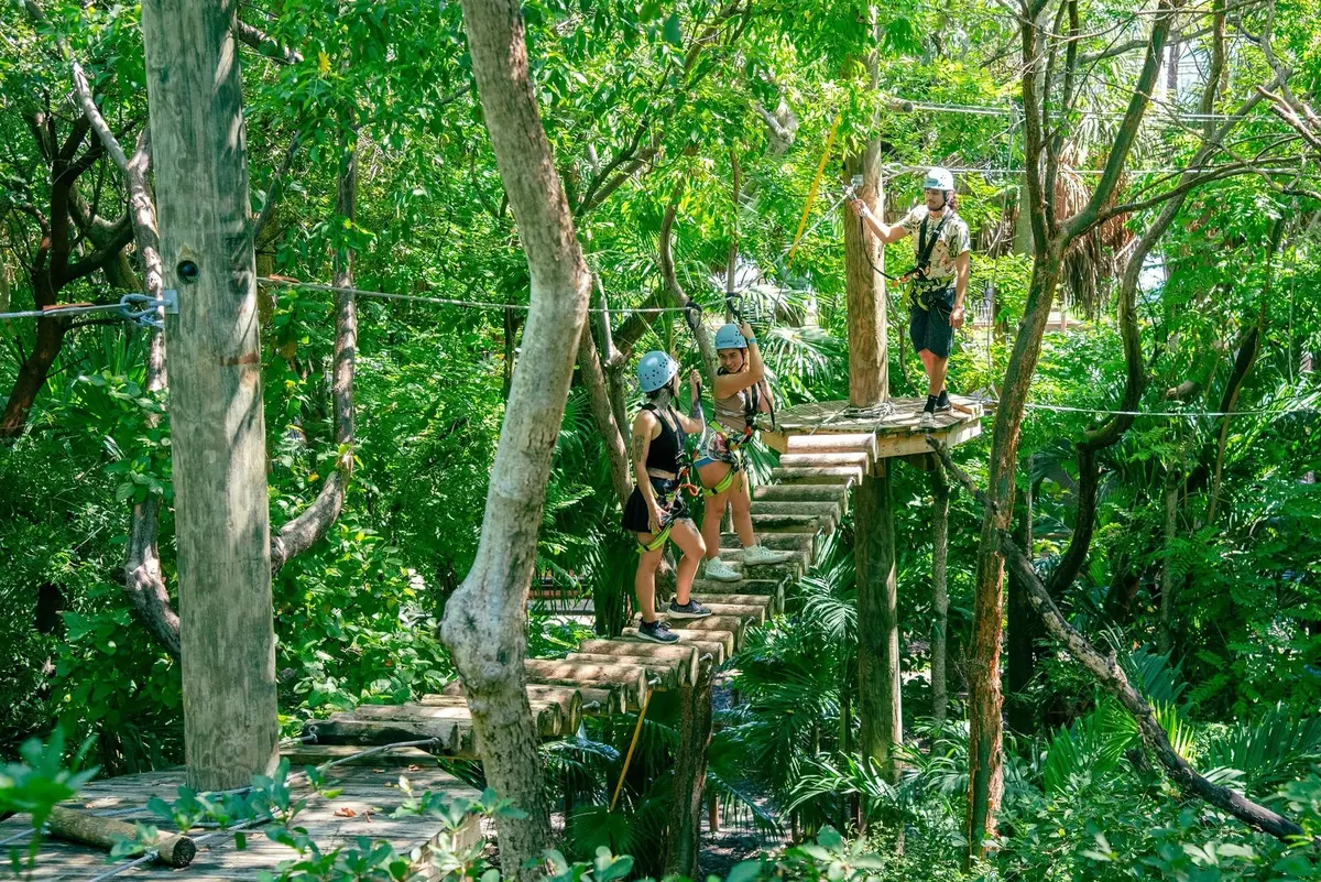 Discovery Courses – Treetop Trekking Kids Aerial Courses — photo 3 from Treetop Trekking Miami