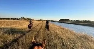 Riders on a grassy trail beside a canal, seen from horseback