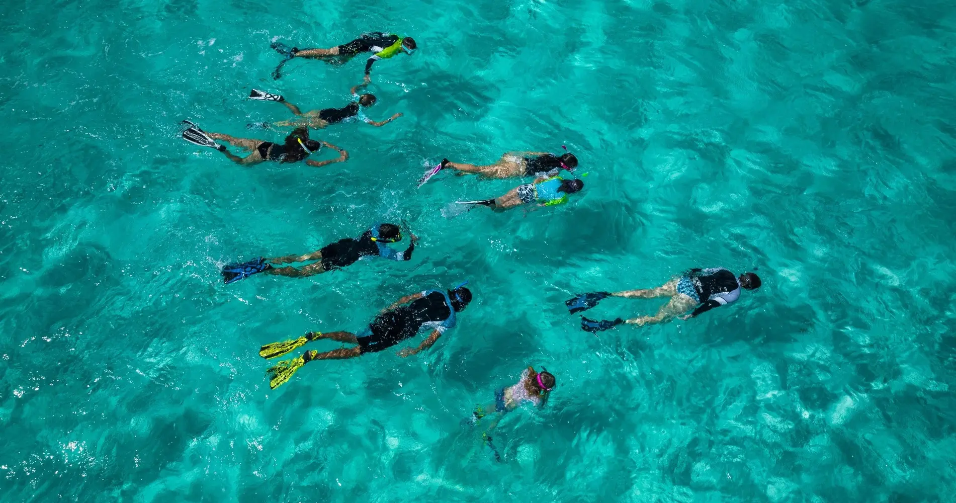 Snorkeling Trip — photo 4 from ACE DIVING