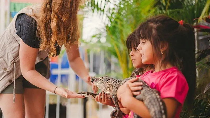 Everglades Airboat Adventure + FREE 2 HOURS with Rentals. — photo 2 from Miami Beach Bike Rental & Segway tours