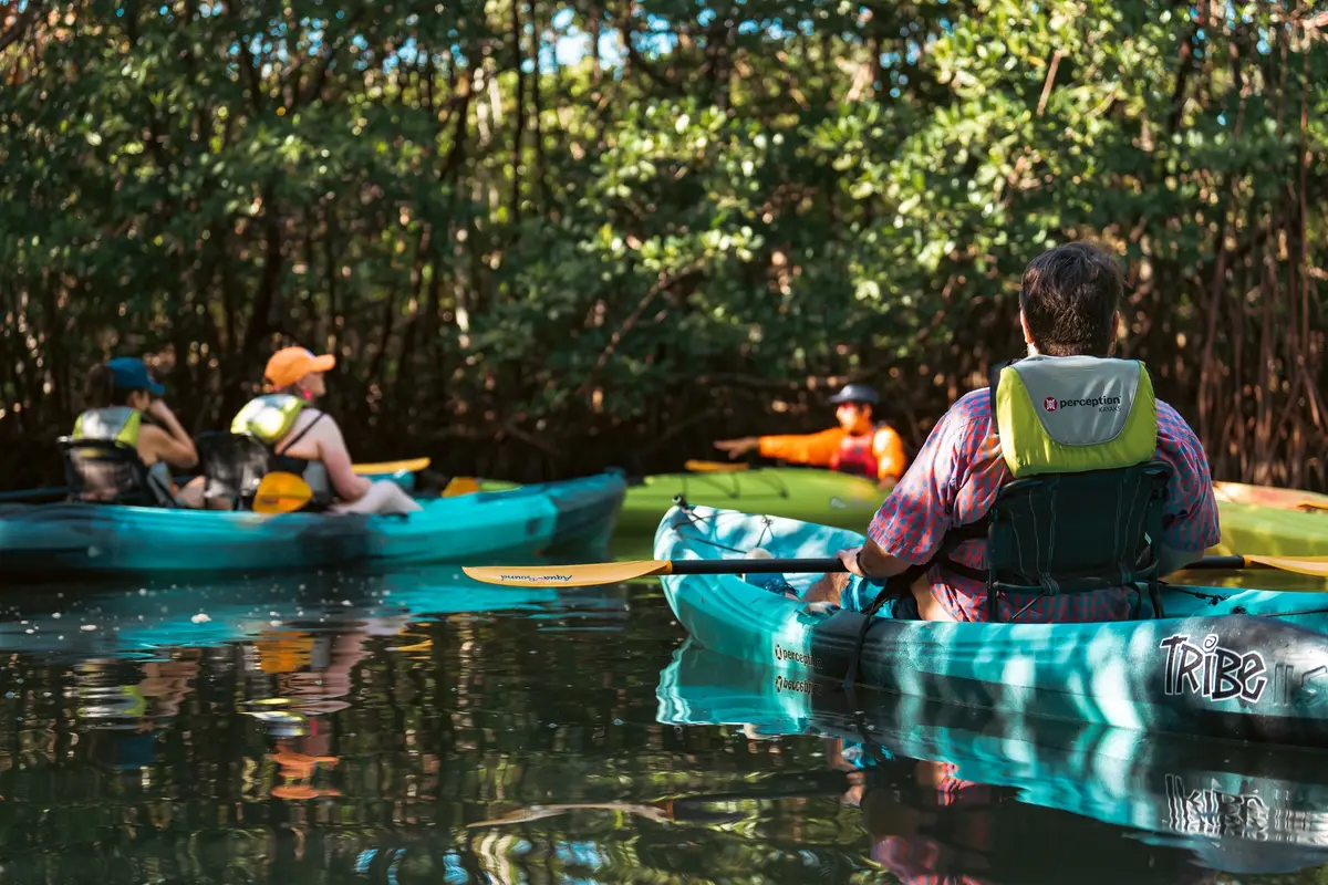 Paddlers in kayaks among the mangroves at Oleta River