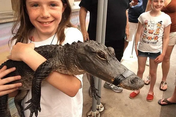 Everglades Airboat and Millionaire's Row Cruiser Tour Combo + FREE 2 HOURS with Rentals. — photo 3 from Miami Beach Bike Rental & Segway tours