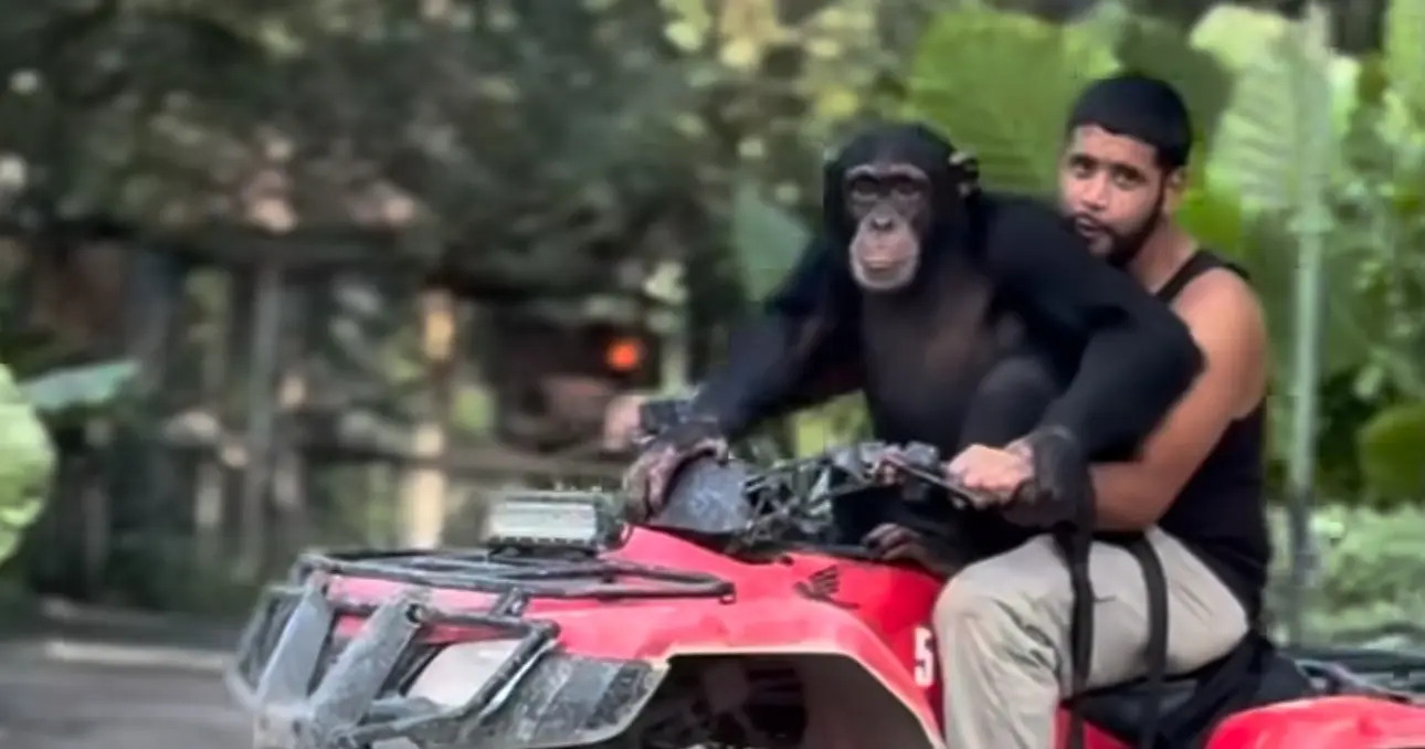 Exotic Wild life ATV Zoo Tour — photo 1 from Soflo Extreme Jetskis LLC