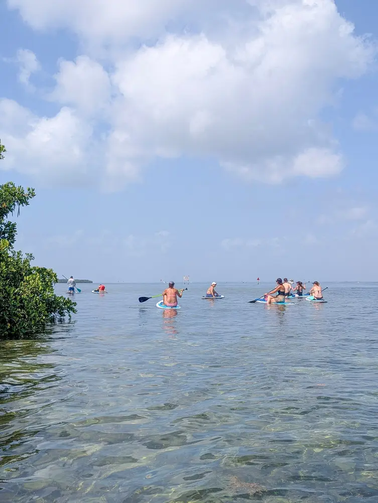 Biscayne Bay Island and Miami Skyline Paddle Tour — photo 6 from PADL - VK Beach Club