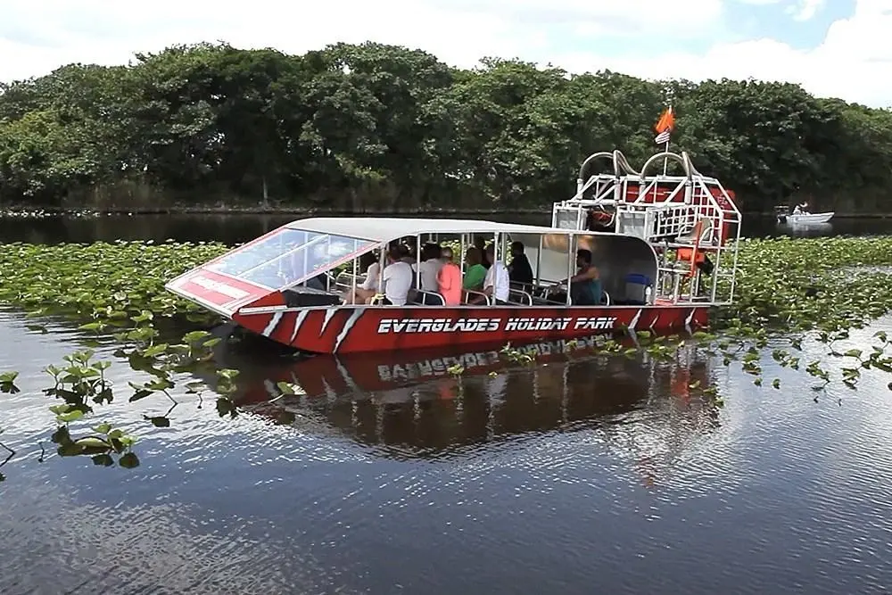 Everglades Airboat Adventure + FREE 2 HOURS with Rentals. — photo 5 from Miami Beach Bike Rental & Segway tours