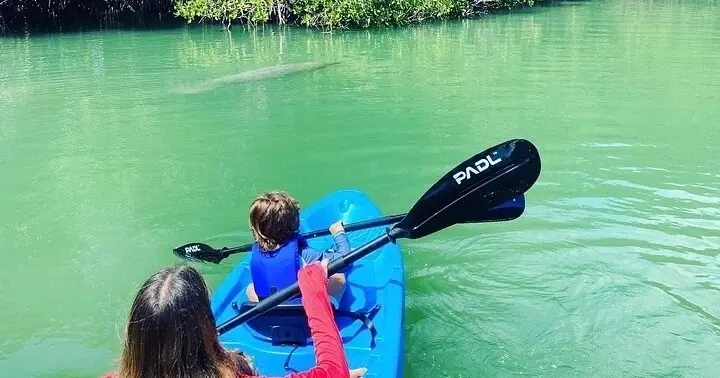 Tandem Kayak Rental – PADL Lagoon & Trails — photo 5 from PADL – Lagoon & Trails