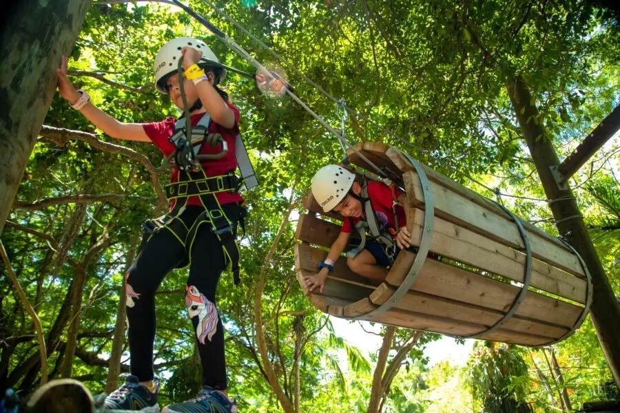 Discovery Courses – Treetop Trekking Kids Aerial Courses — photo 1 from Treetop Trekking Miami
