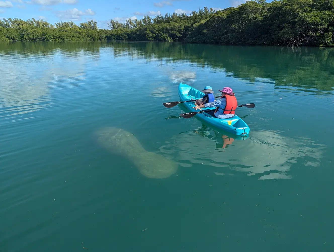 Tandem Kayak Rental – PADL Lagoon & Trails — photo 4 from PADL – Lagoon & Trails
