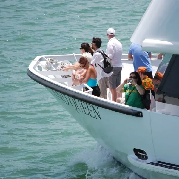 Miami Millionaire's Row Cruiser Tour + FREE 2 HOURS with Rentals. — photo 4 from Miami Beach Bike Rental & Segway tours