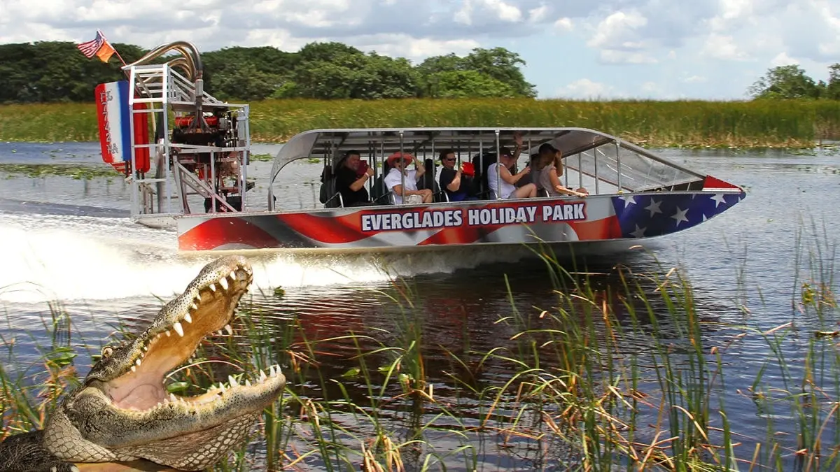 Everglades Airboat and Millionaire's Row Cruiser Tour Combo + FREE 2 HOURS with Rentals. — photo 5 from Miami Beach Bike Rental & Segway tours