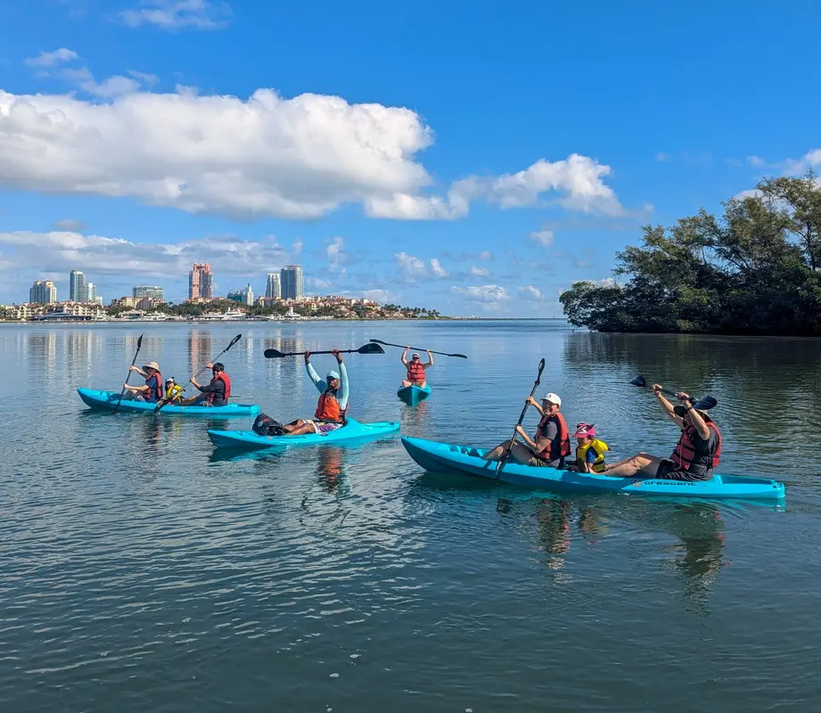 Kayakers paddling on calm bay water near mangroves