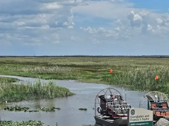 Sunset 1.5 Hours Private Tour — photo 2 from Miami Everglades Connection Airboat Tours