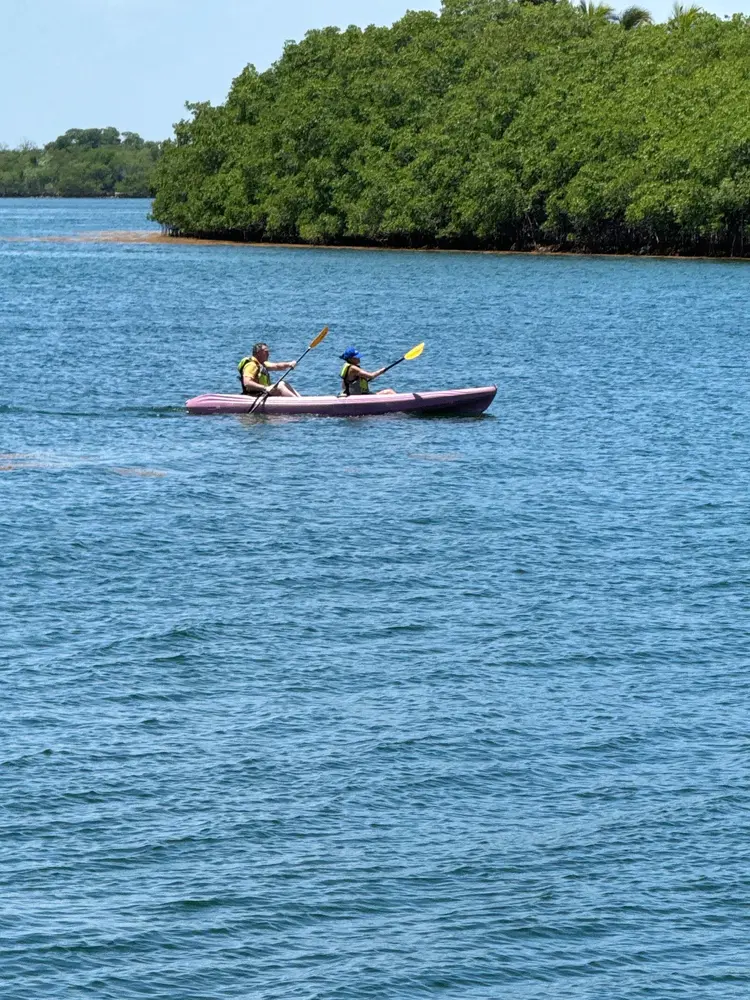 Guided Eco Tour Paddle — photo 6 from Oleta River Adventures
