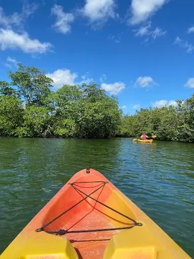 Guided Eco Tour Paddle — photo 2 from Oleta River Adventures