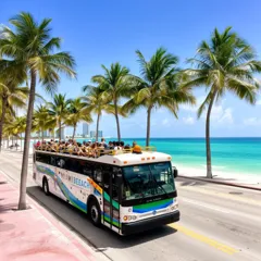 A sightseeing bus beside a palm-lined beachfront street