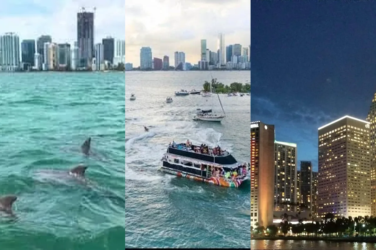 Miami sightseeing cruises and private night boat from the tour catalog