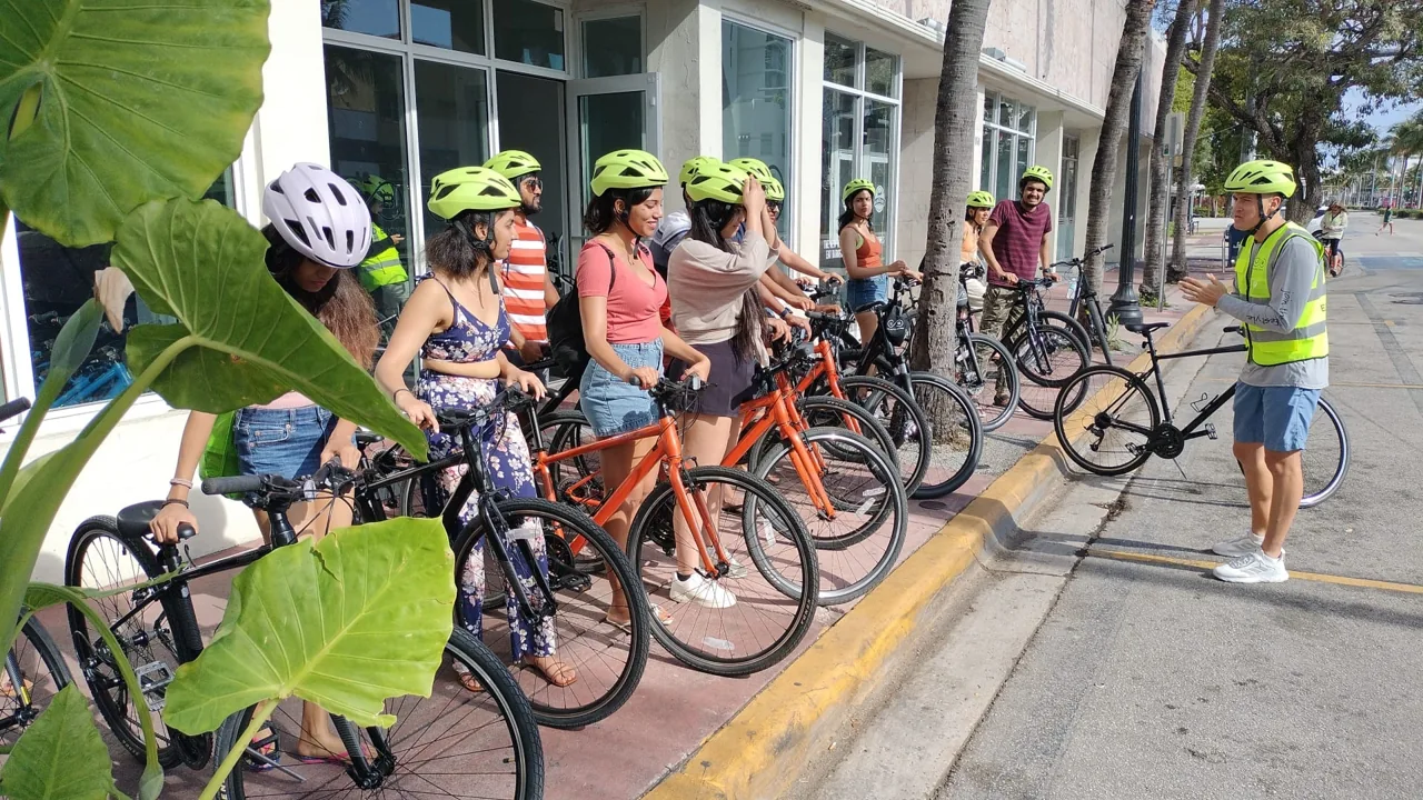 Bicycles lined up beside a shaded sidewalk
