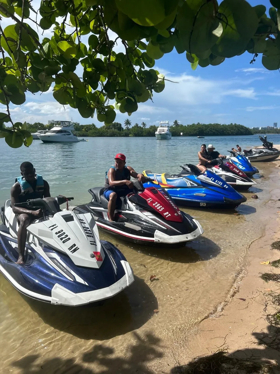 Jet skis lined up beside a shaded shoreline
