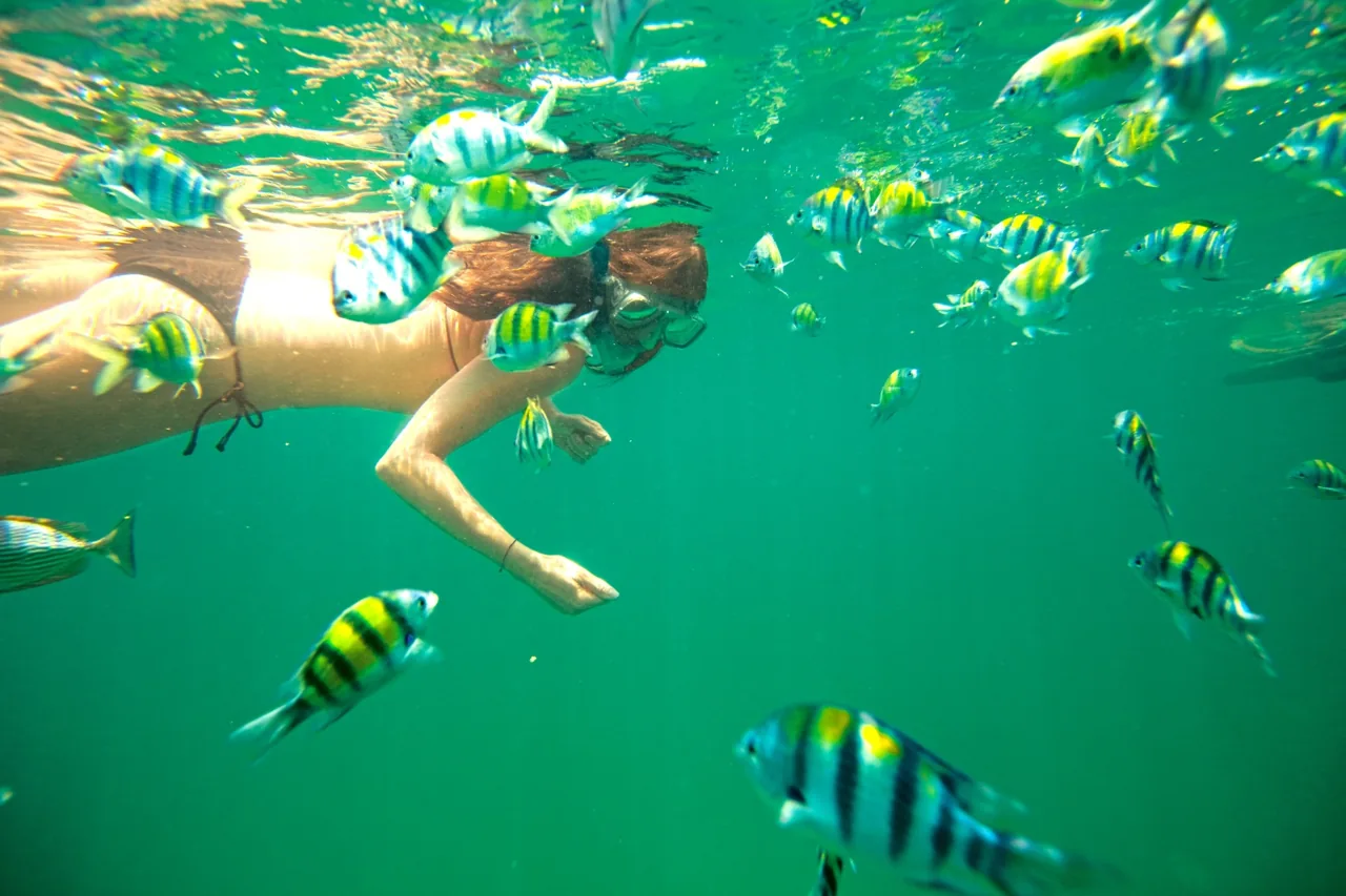 A swimmer surrounded by fish in clear water