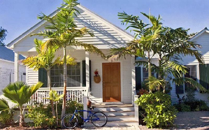 A shaded house entrance with palms and bicycles