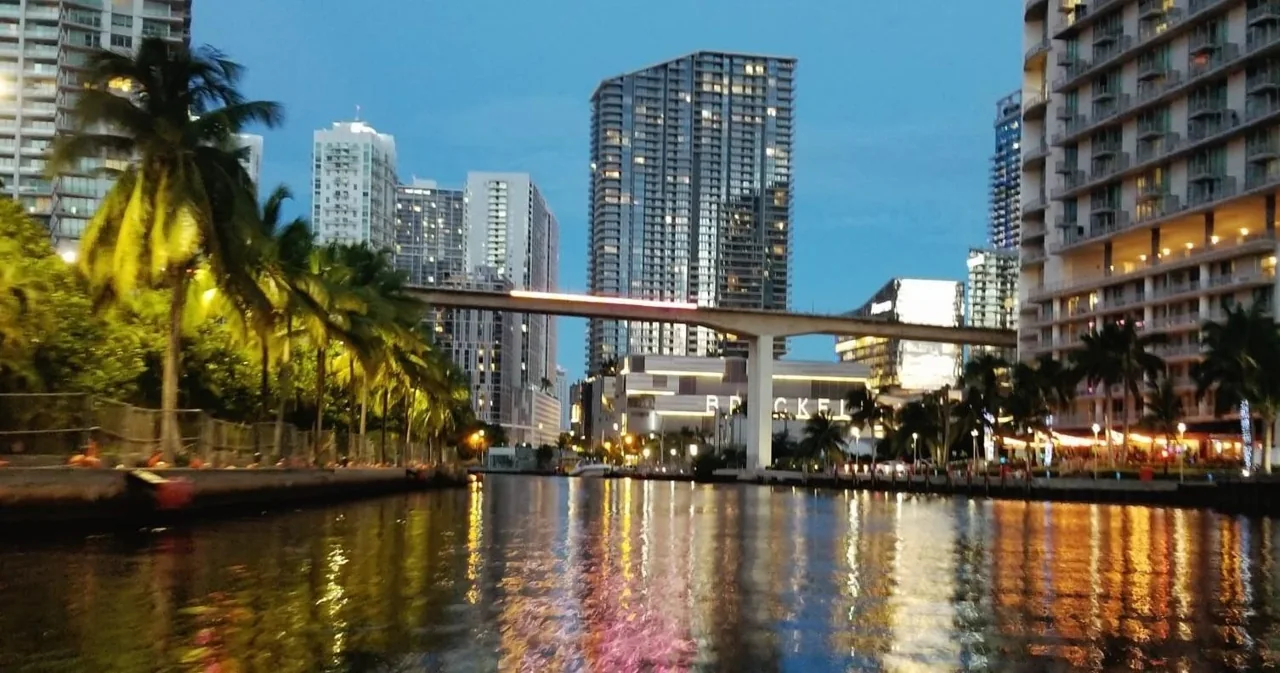 A palm-lined waterfront beneath illuminated high-rises