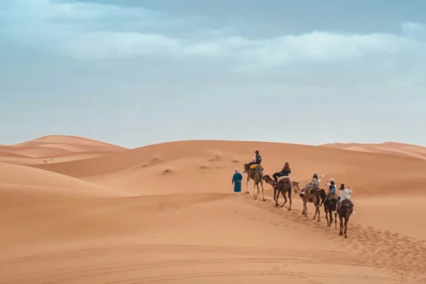 Cultural Experience with Toledo