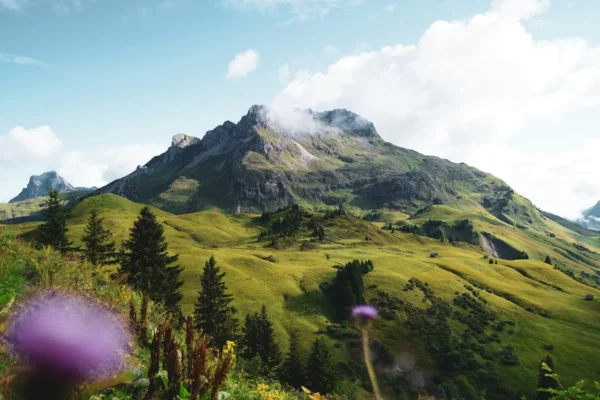 Northern Vietnam Delights In Hanoi